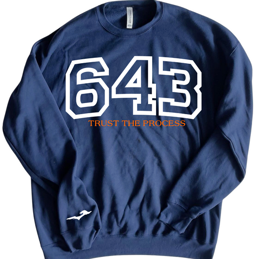 Varsity NAVY
