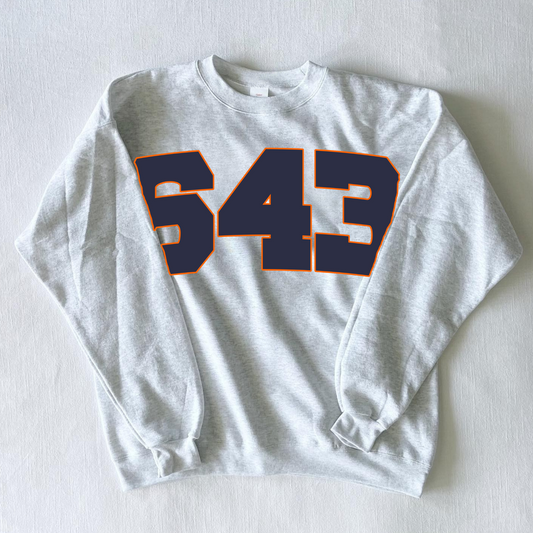 643 Ash Gray