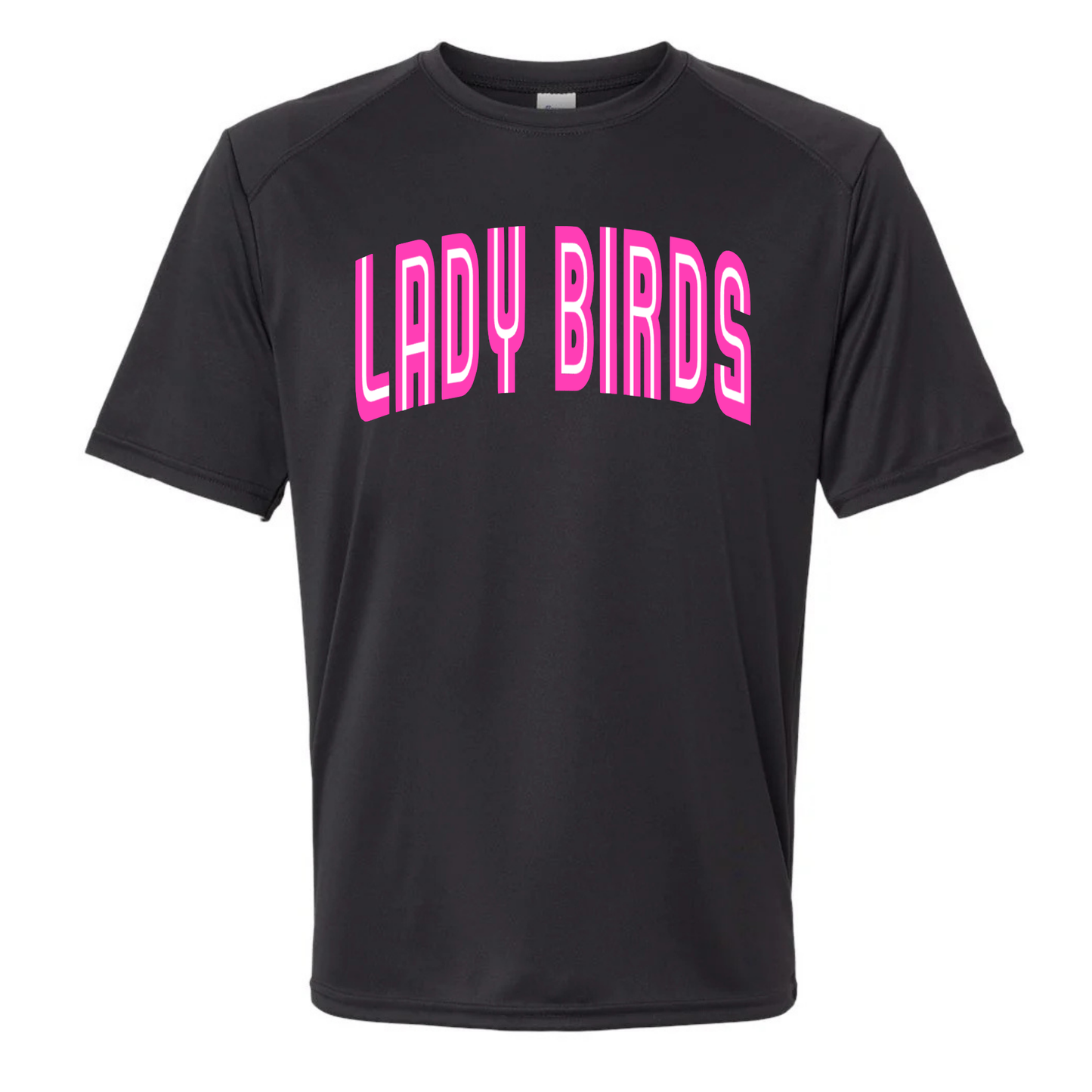 Lady Birds 7